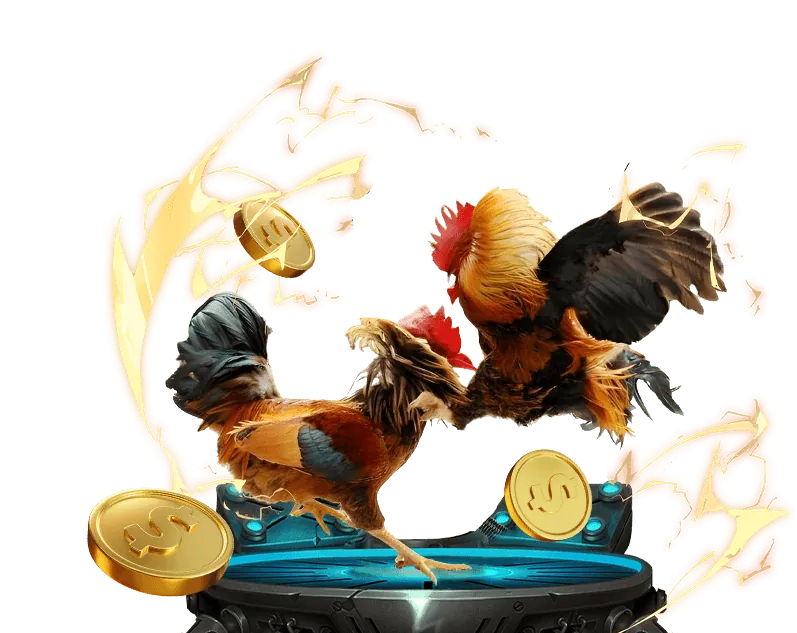 Sự kiện VIP độc quyền rr88